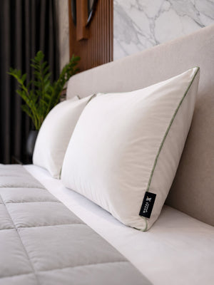 Tencel T500 Firm Pillow